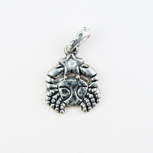 Horoscope Pendant / Charm